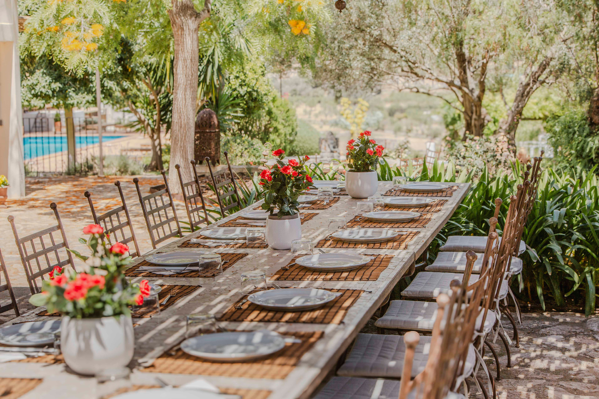 A long table set for lunch in the garden, shaded by trees
